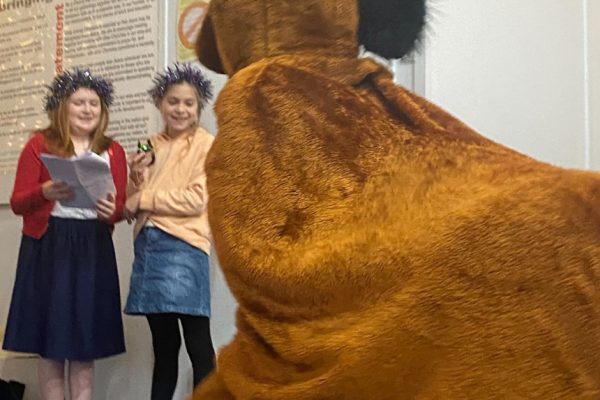 Here-Comes-the-Panto-Horse