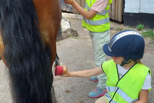 Kids-Equestrian-Adventure-03