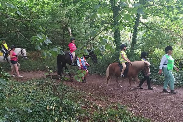 Kids-Equestrian-Adventure-9